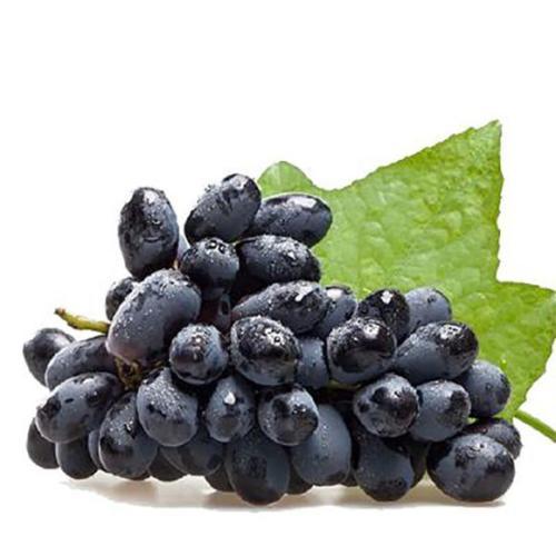 红酒是如何酿造的(酿造红酒的葡萄品种有哪些)