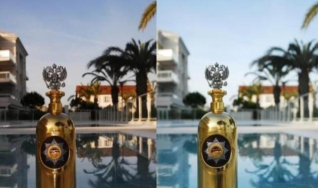 vodka伏特加(vodka伏特加多少钱)